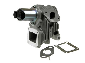 EGR Klep oa. Laguna II-Megane II OEM7701058850 - € 119,95