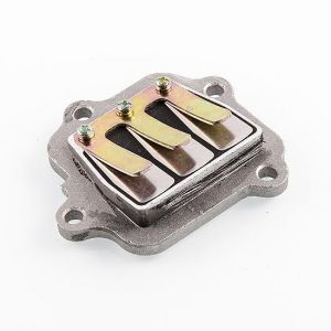 Reed Valve Block voor PW80