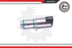 Regelklep, nokkenasregeling OEM 30 731 172