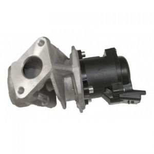 EGR Klep oa.206-207-307-308-407-Expert-Partner OEM 1618.59